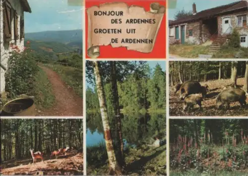 Belgien - Belgien - Ardennen - ca. 1980