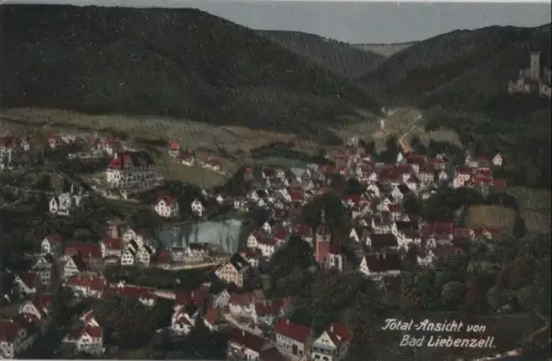 Bad Liebenzell - Total-Ansicht - 1918