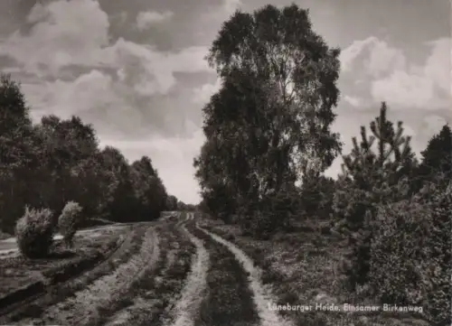 Lüneburger Heide - Einsamer Birkenweg - ca. 1965