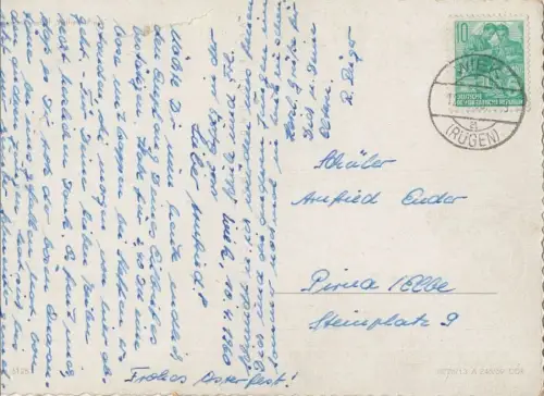 Segelschulschiff Wilhelm Pieck