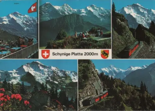 Schweiz - Schweiz - Schynige Platte - mit 5 Bildern - 1987