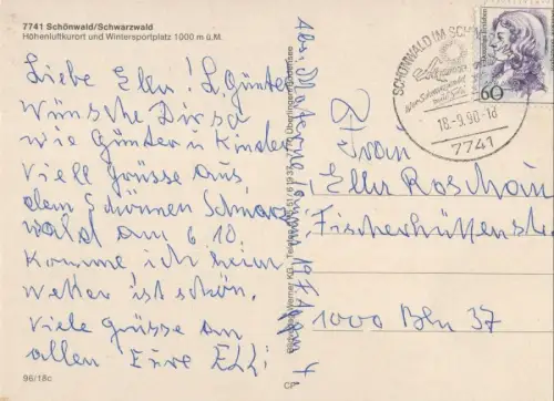 Schönwald - Teilansicht