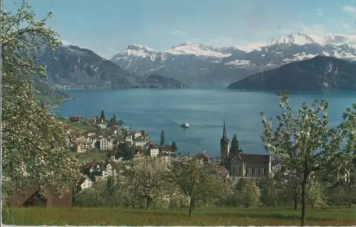 Schweiz - Weggis - Schweiz - mit den Alpen