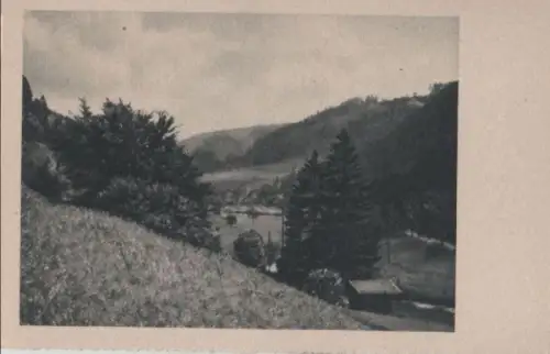 Nadelbäume im Tal - ca. 1955