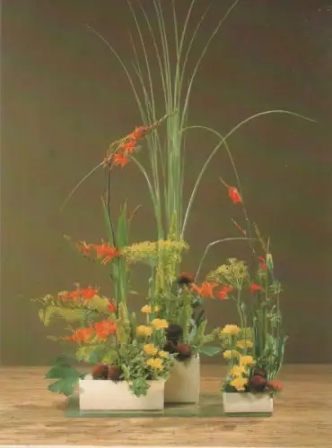 Monbretien Arrangement