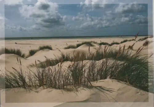 Amrum - Dünen und Strand - 2012