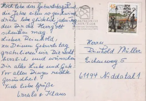 Sonnenblumen blühend