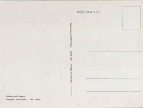 Scabiosen Arrangement