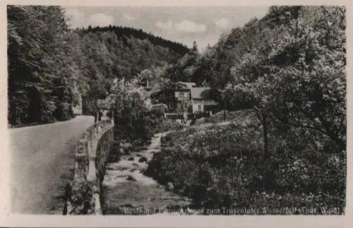 Trusetal - Pensionshaus zum Trusentaler Wasserfall - ca. 1955