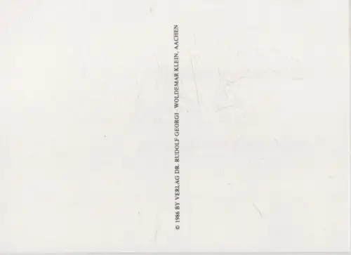 Rosa Centifolia mutabilis blühend