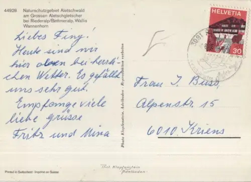 Schweiz - Aletschwald - Schweiz - Aletschgletscher