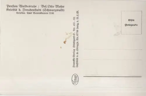 Kniebis - vom Flugzeug