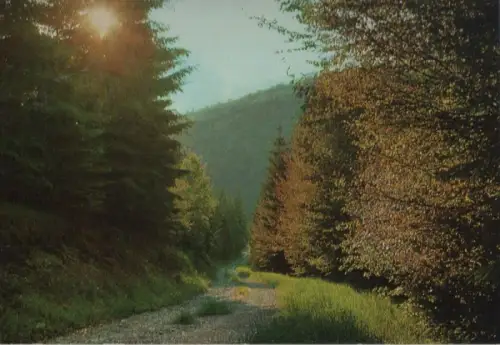 Frankenwald - Abendstimmung - ca. 1980