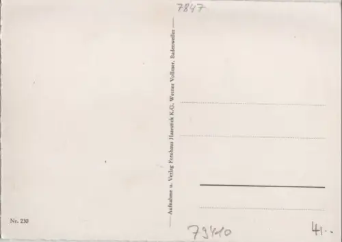 Badenweiler - Vogesenblick