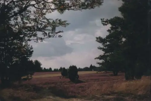 Heidelandschaft 1990