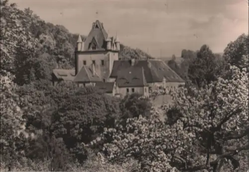 Liebstadt - Schloß Kuckuckstein - 1966