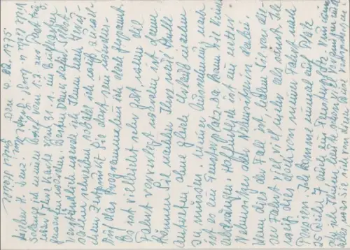 Rosen und Gießkanne