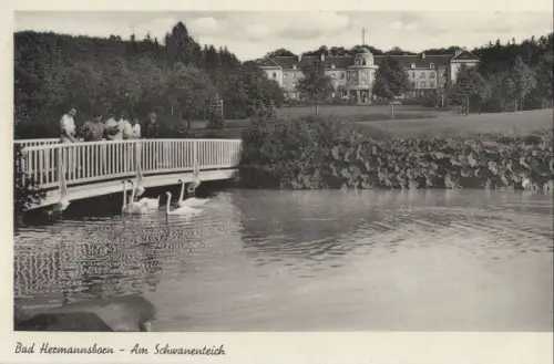 Bad Hermannsborn (OT von Bad Driburg) - Schwanenteich