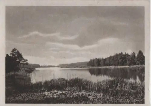 See im Wald - ca. 1950