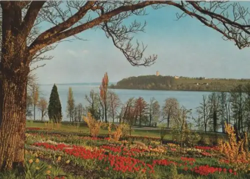Mainau - Partie an Frühlingsstraße - ca. 1975