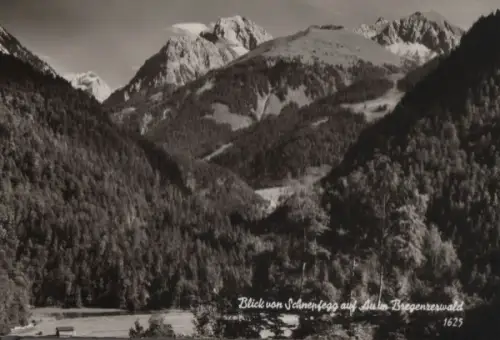 Österreich - Österreich - Schnepfau-Schnepfegg - Blick auf Au - ca. 1960