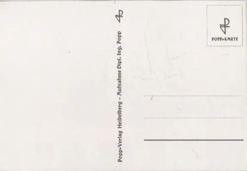 Gruppenbild mit Blüten