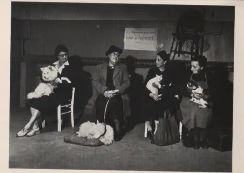 Tierkrankenhaus Paris