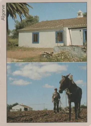 Portugal - Portugal - Algarve - 1992