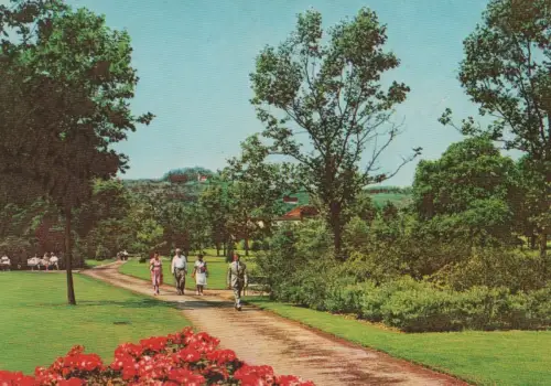 Bad Driburg - Blick auf Kurpark - ca. 1975