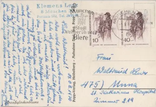 Straußglockenblume 1970