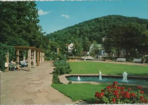 Bad Harzburg - Pergola an der weißen Brücke - ca. 1975