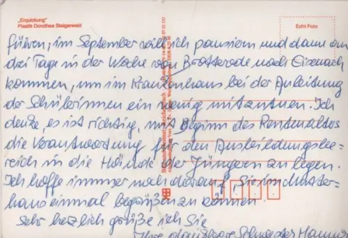 Dorothea Steigerwald Erquickung