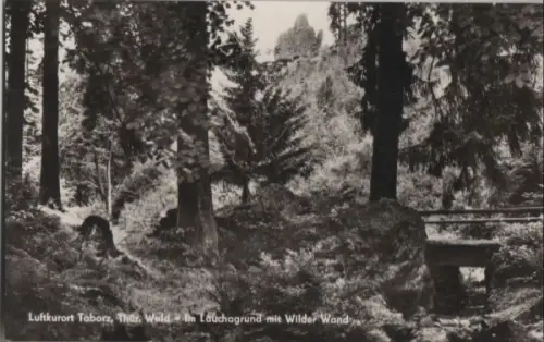 Tabarz - Im Lauchagrund mit Wilder Wand - 1966