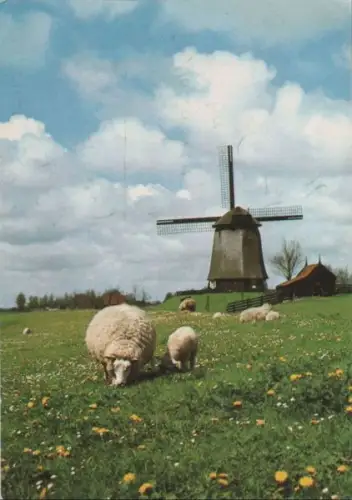 Niederlande - Niederlande - Alkmaar-Schermerhorn - Mühle - ca. 1985