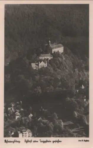 Schwarzburg - Schloß vom Trippstein gesehen - 1954