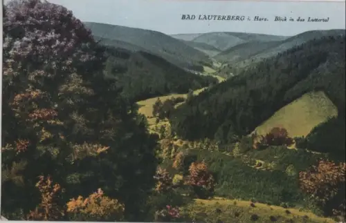 Bad Lauterberg - Blick in das Luttertal - 1948