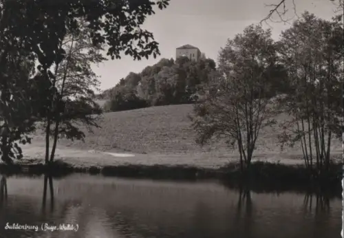 Bayerischer Wald - Suldenburg - ca. 1960