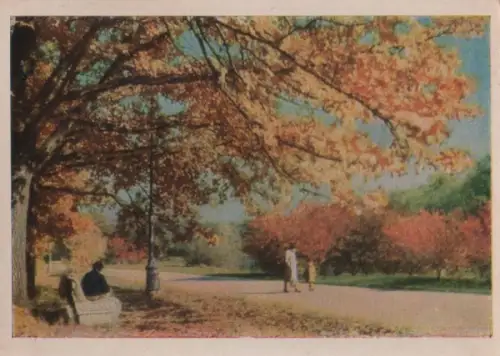 Russland - Russland - Moskau - Sokolniki zur Herbstzeit - ca. 1975