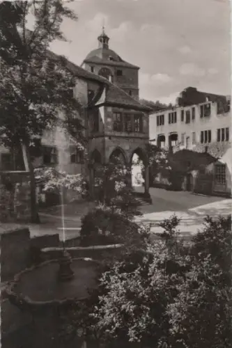 Heidelberg - Partie im Schlosshof