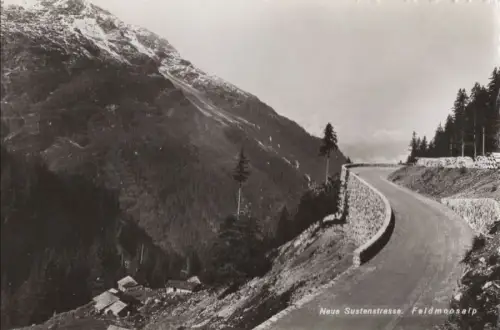 Schweiz - Sustenpass - Schweiz - Feldmoosalp