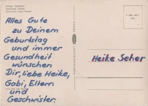 Zottige Gemswurz Gebirge