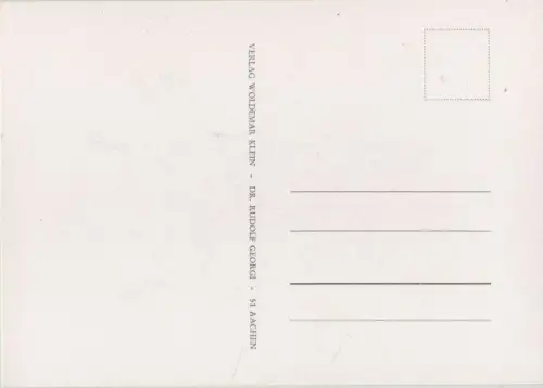 Rosa Bifera macrocarpa blühend