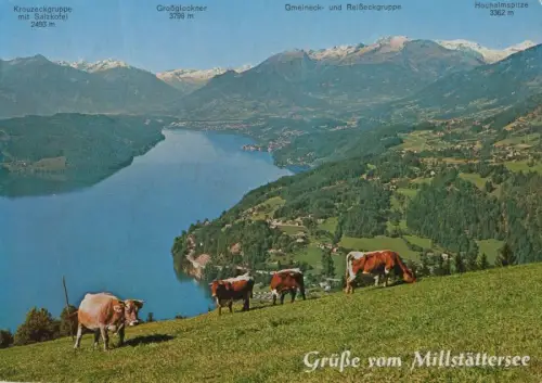 Österreich - Millstätter See - Österreich - vom Gschriet