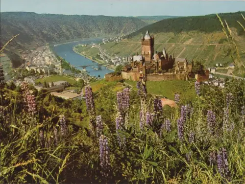 Cochem - Burg und Moseltal