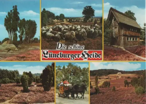 Lüneburger Heide - 6 Bilder