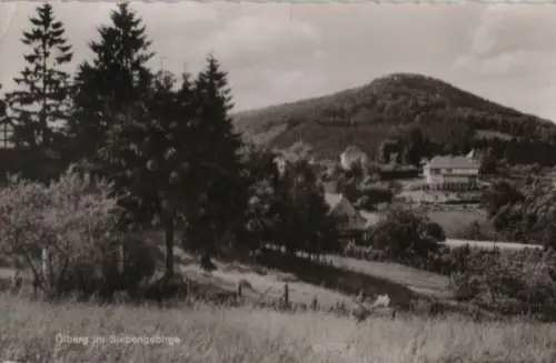 Siebengebirge - Ölberg - 1963