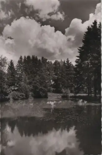 Bad Steben - Kurpark - Am Weiher - 1953