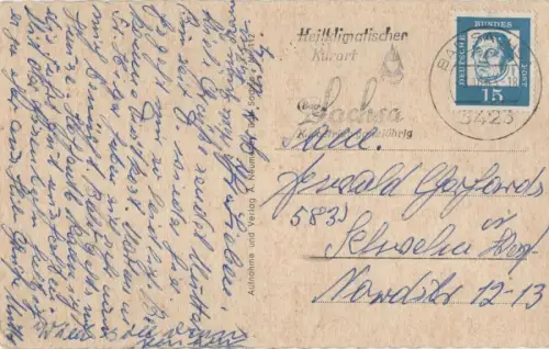 Harz - Kapitalhirsch