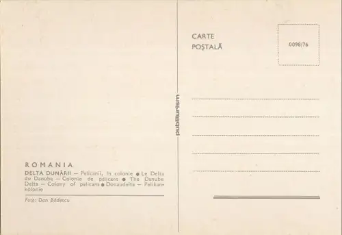 Rumänien - Donau - Rumänien - Delta - Pelikane