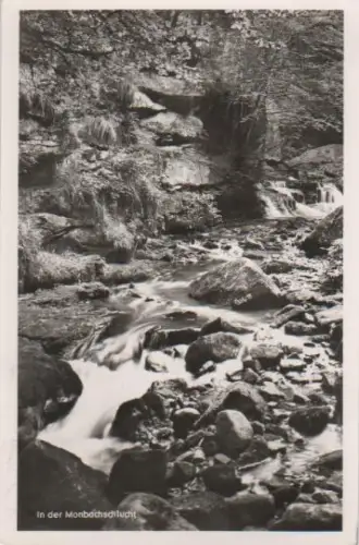 Bad Liebenzell - Monbachschlucht - 1971